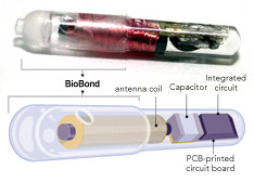 BioBond